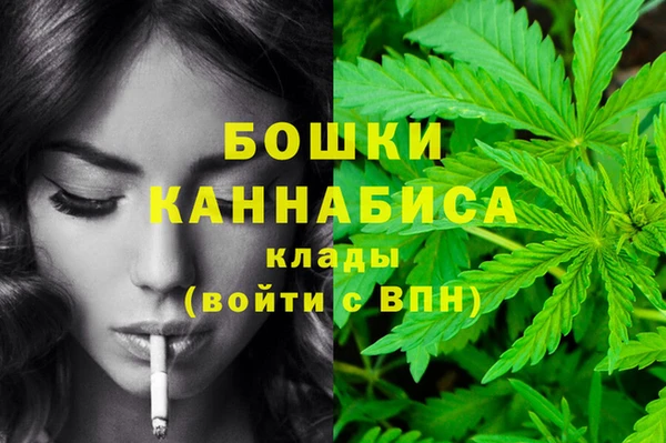 гидра Киреевск