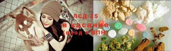 гидра Киреевск