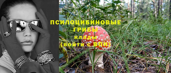 гидра Киреевск