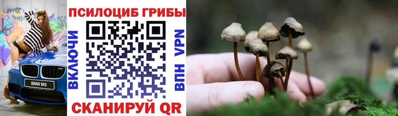 Купить где  Вязники  Галлюциногенные грибы мицелий 